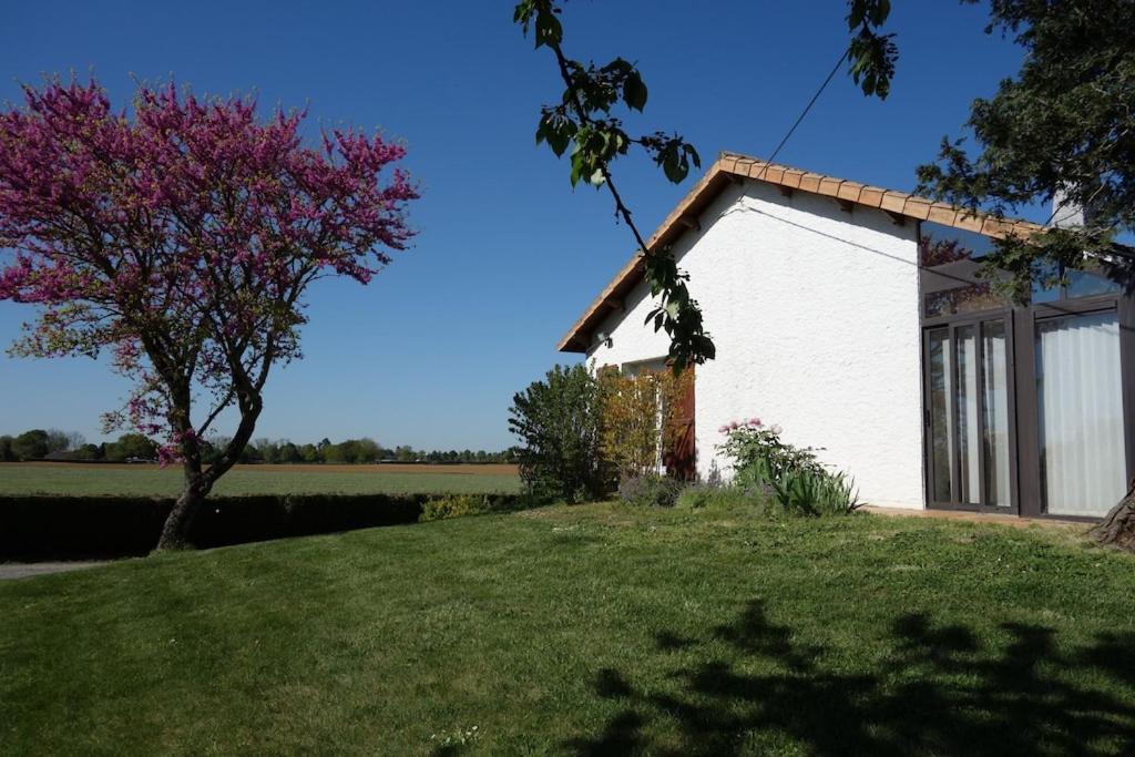 A Proximite Du Futuroscope Et Des Marais Poitevin Villa Rouille Buitenkant foto
